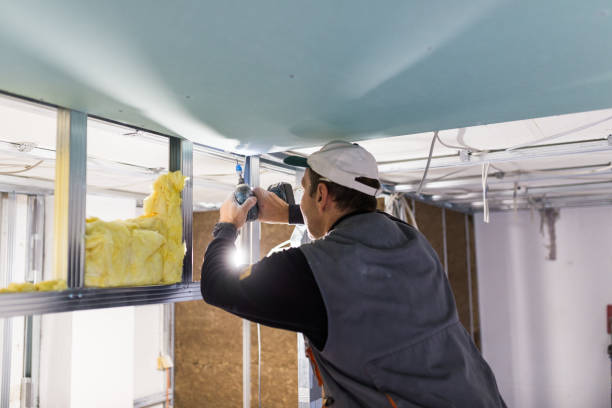 Best Insulation Maintenance and Repair in North Weeki Wachee, FL