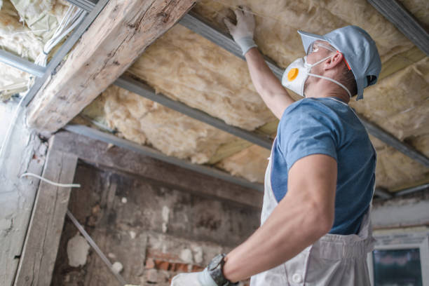 Best Cellulose Insulation in North Weeki Wachee, FL