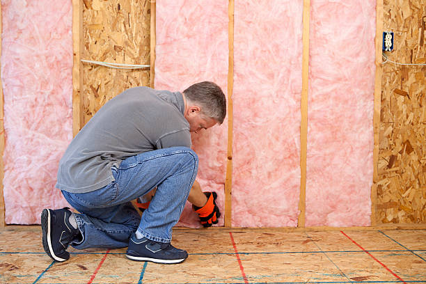 Best Insulation for Specific Applications in North Weeki Wachee, FL